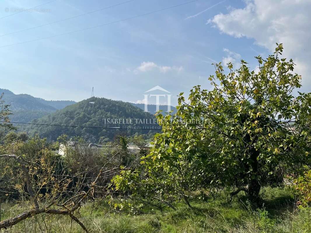 Terrain à L'ESCARENE