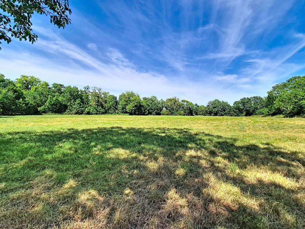 Un domaine de 11,6 hectares aux portes d'Avord - photo 15