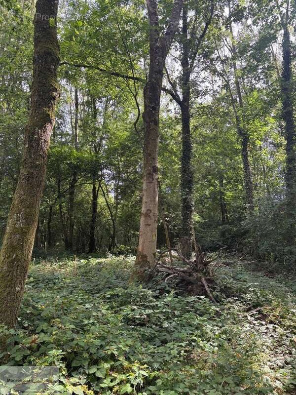 Terrain à LAON
