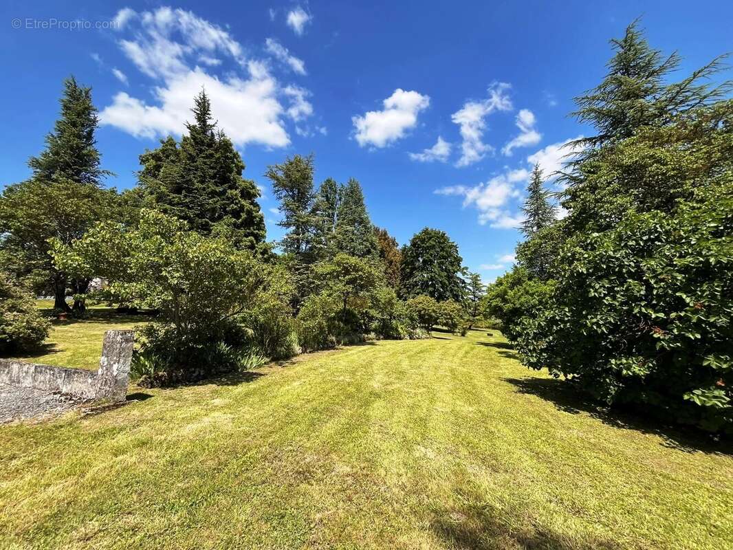 Maison à VERTEILLAC