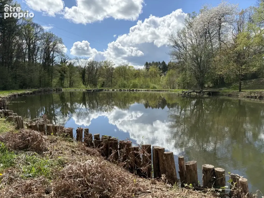 Château Chervix maison de 4 pièces, étang, bois et 3,36 ha sans voisinage - photo 17