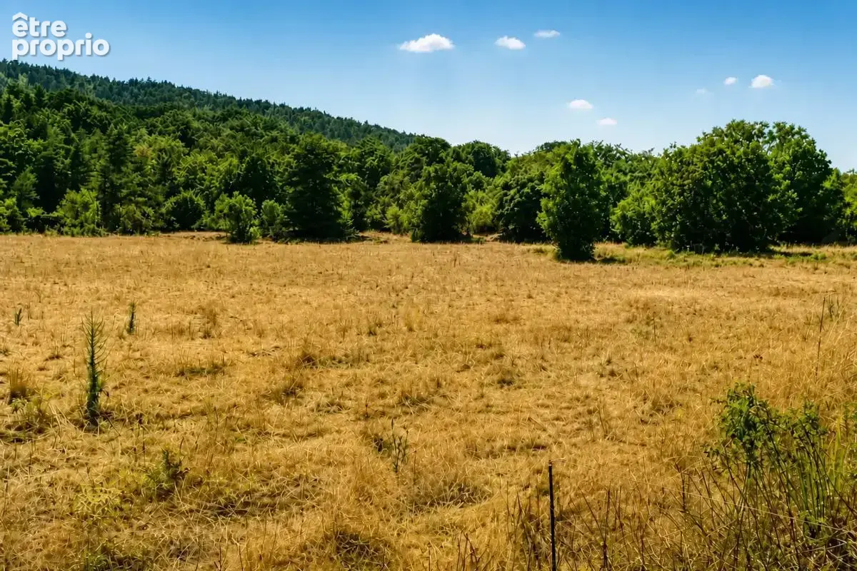 Maison de 11 pièces de 185 m² + 335 m2 de dépendance à La Tieule - photo 9