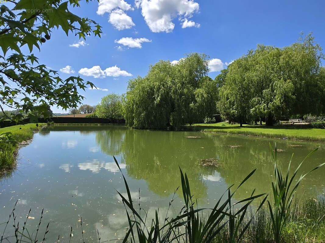 Une vie paisible aux portes du village! - photo 22