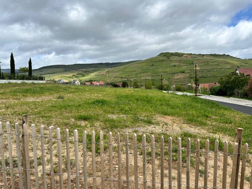 Terrain 620 m² à Soultzmatt · 217 000 €