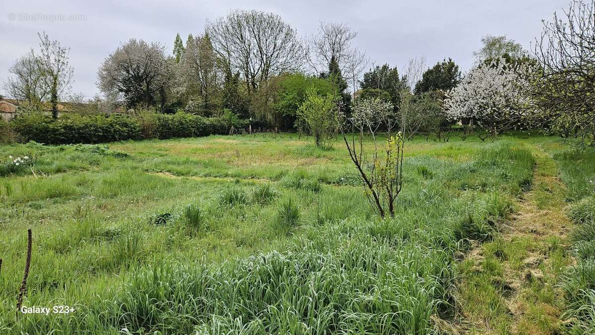 Terrain à SAINT-REMY