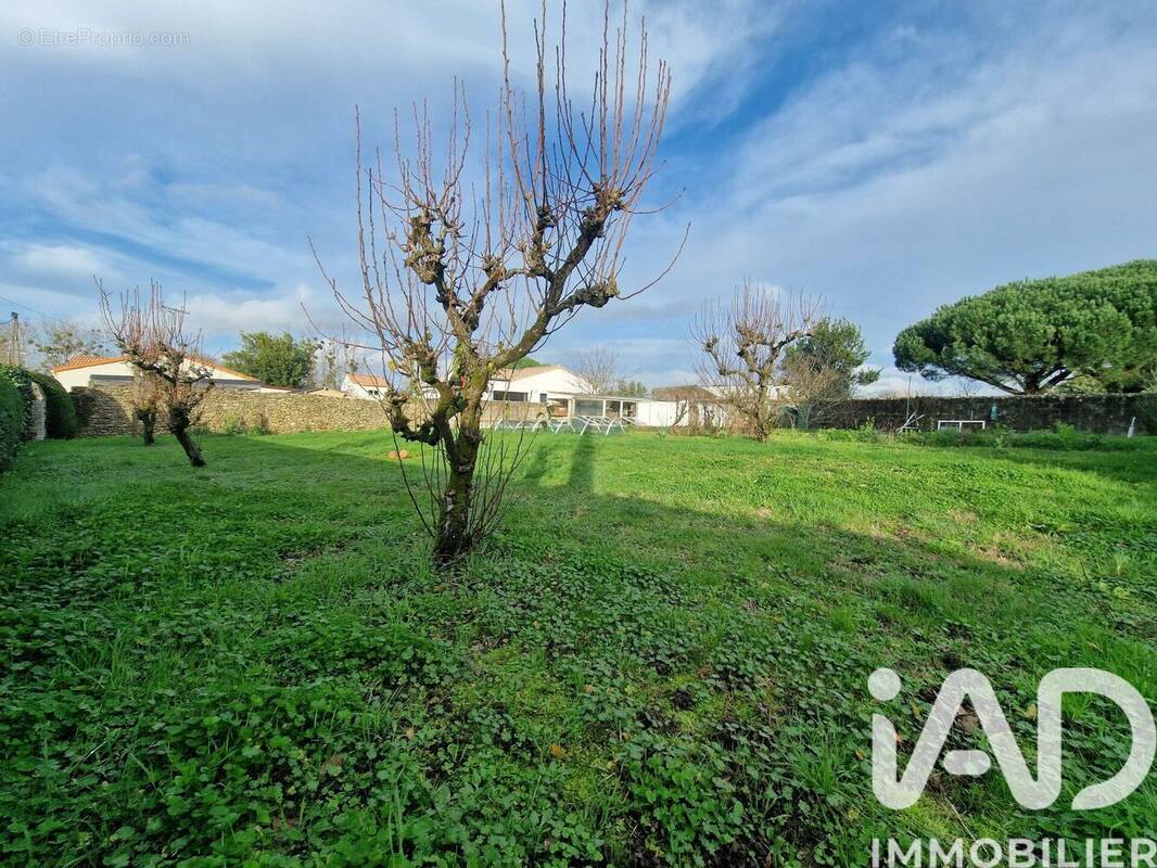 Photo 1 - Terrain à L'ILE-D'OLONNE
