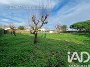 Photo 1 - Terrain à L'ILE-D'OLONNE