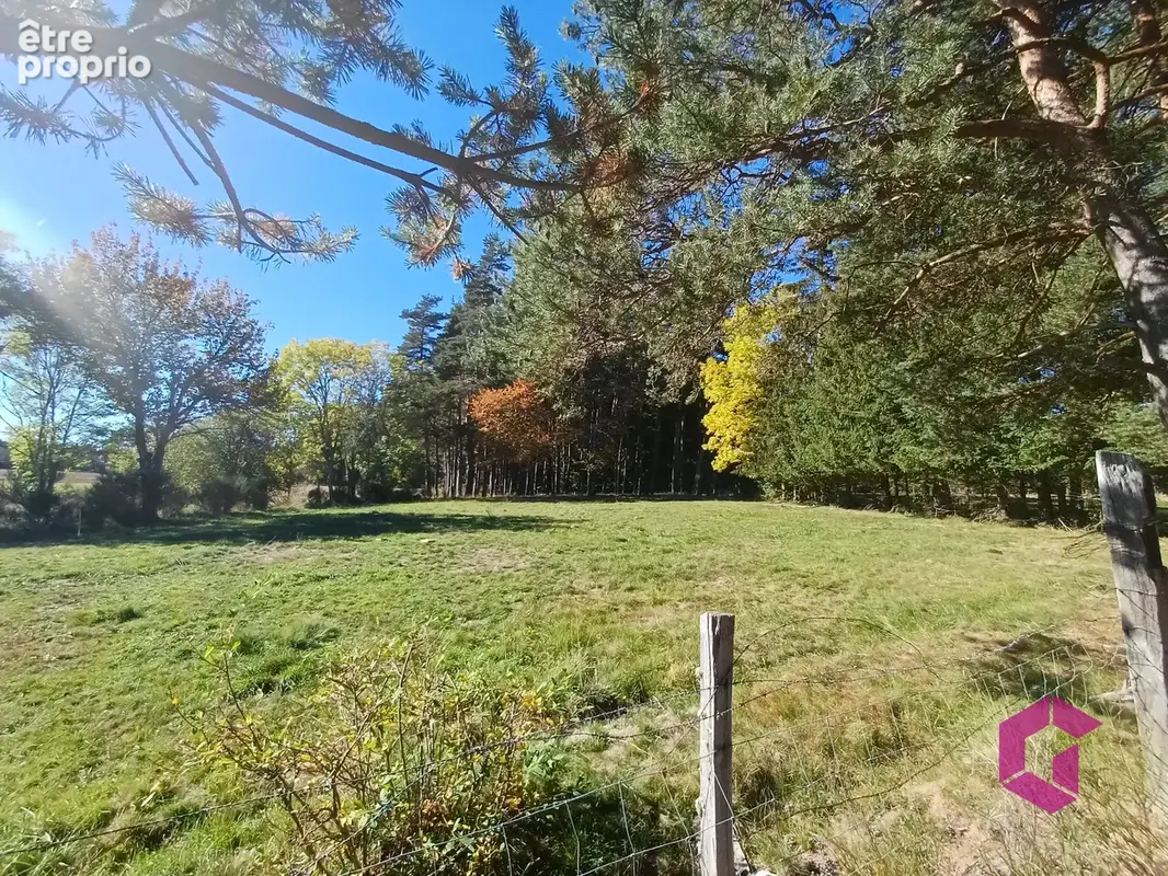 Nouveauté à saisir rapidement !!! - photo 3