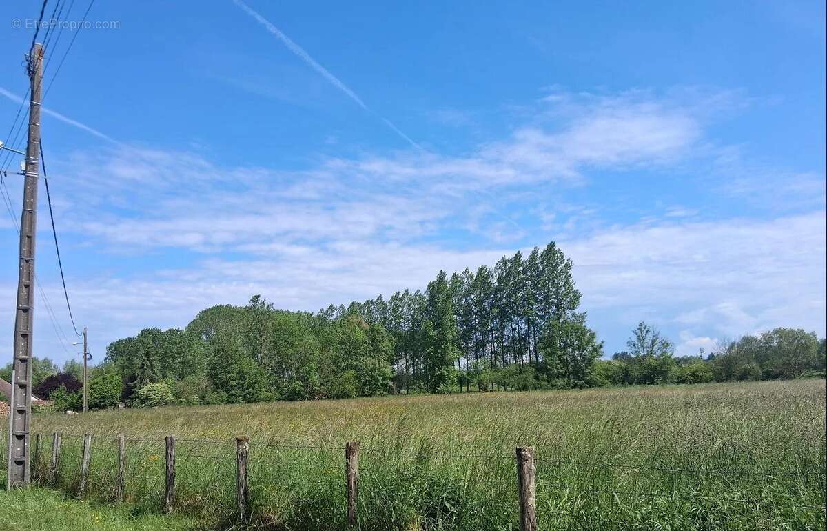 Terrain à ERVY-LE-CHATEL