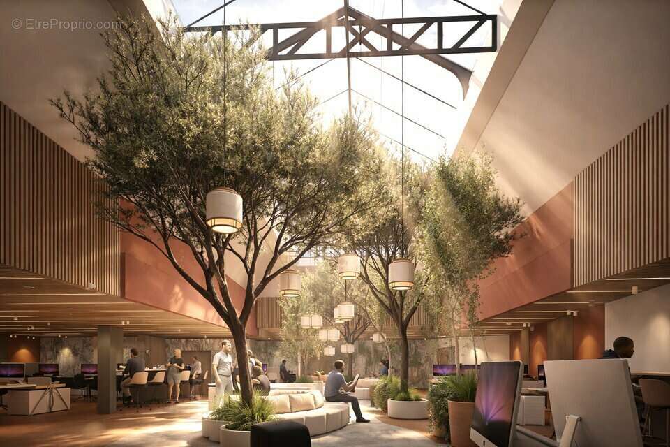 Commerce à TOULOUSE