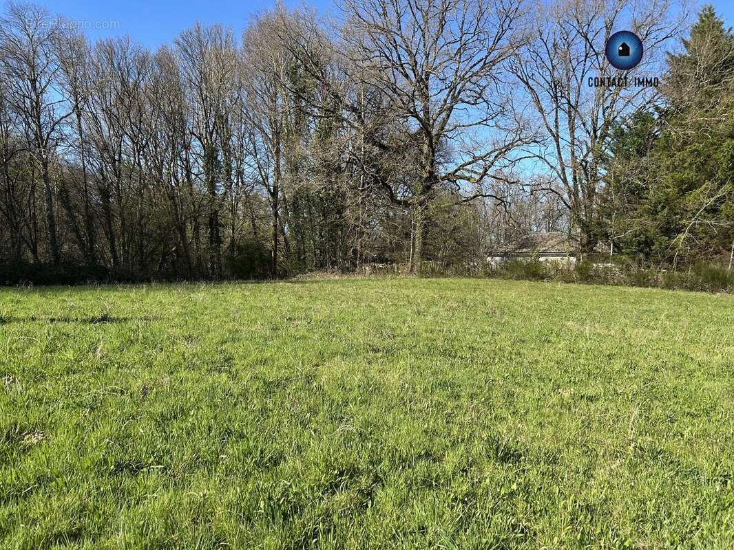 Terrain à SAINT-BONNET-L&#039;ENFANTIER