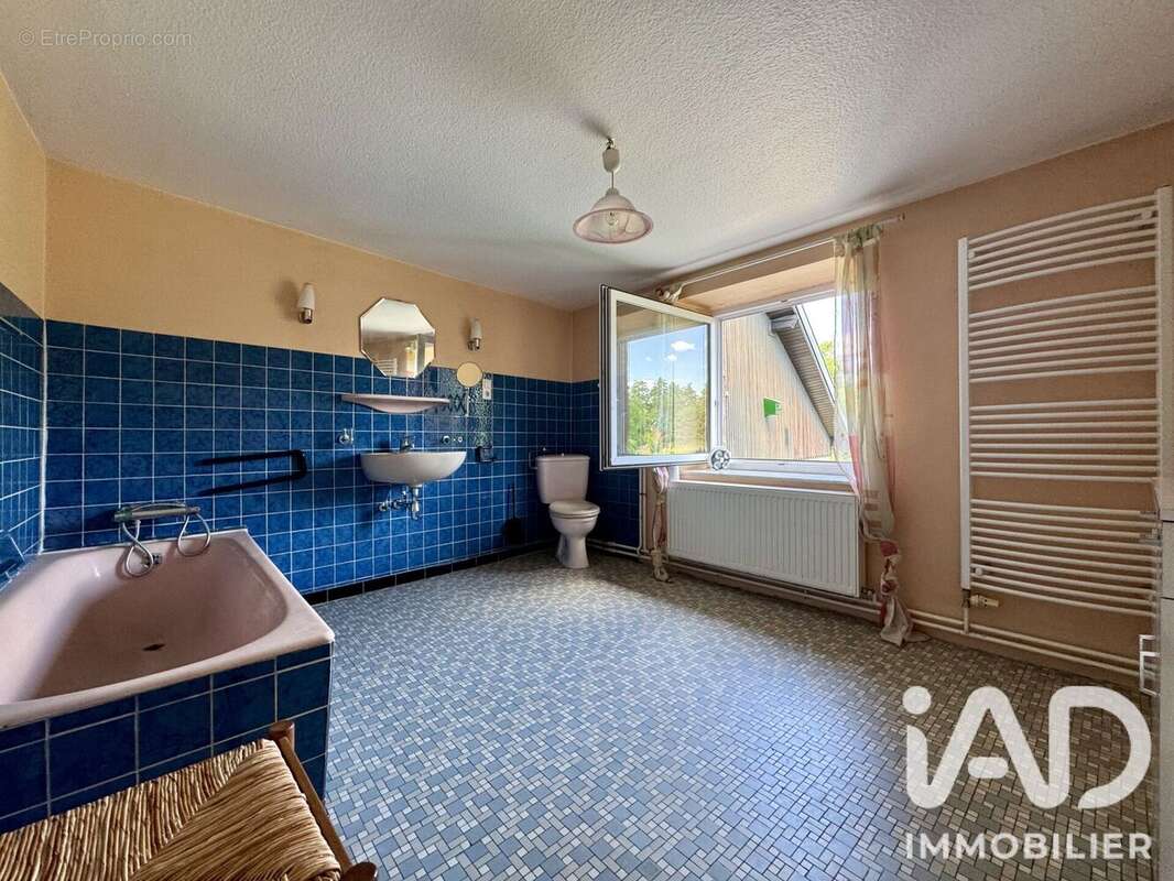 Maison 228 m² à Fenetrange  - photo 7