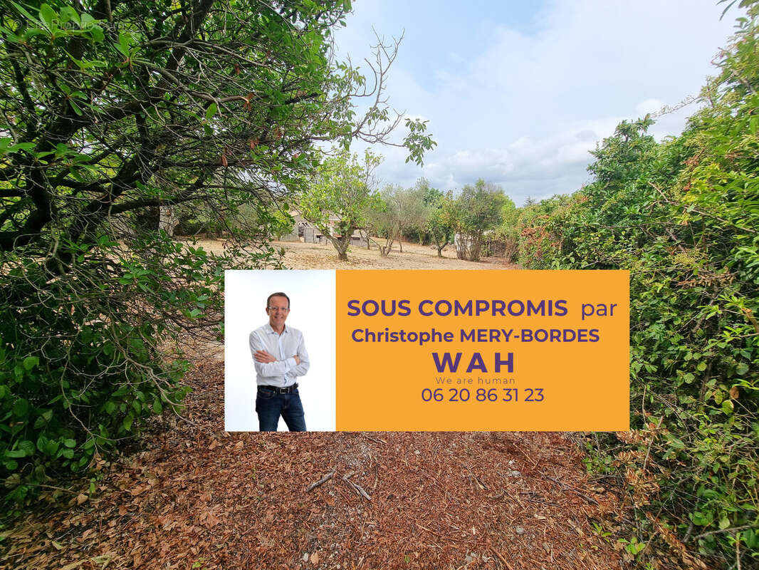 Terrain à SUSSARGUES