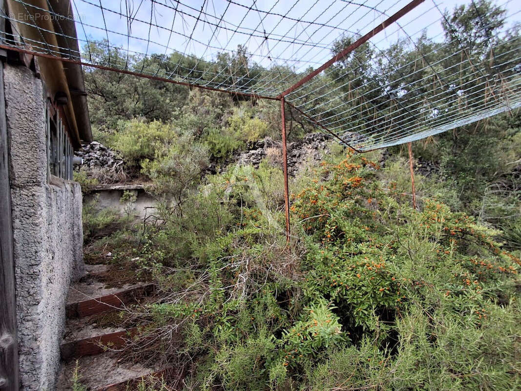 Terrain à BEDARIEUX