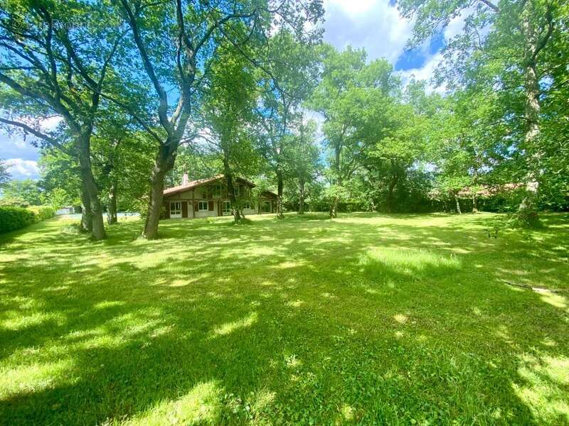 Maison à SAINT-PIERRE-DU-MONT