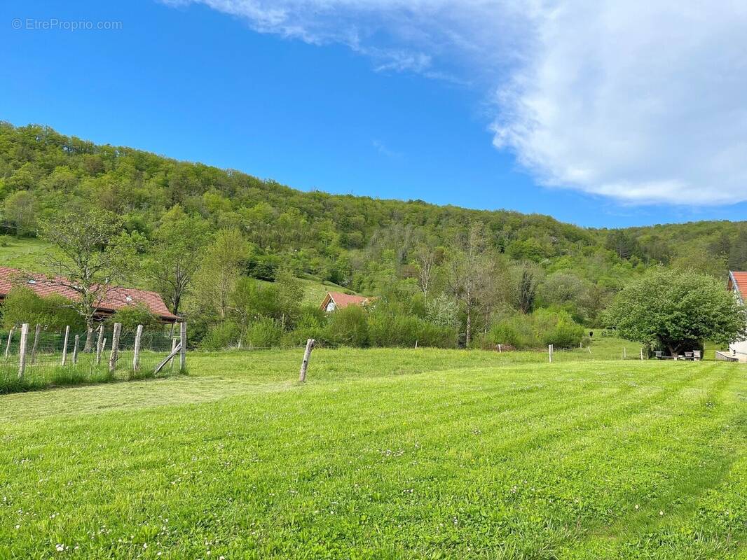 Christophe 02 - Terrain à MONTGESOYE