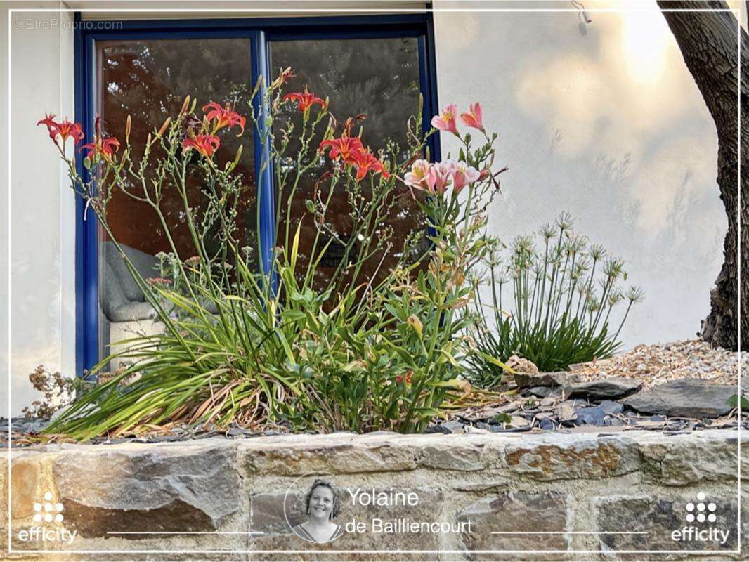 Maison 210 m² à Vitre  - photo 18
