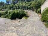 Beau Terrain hauteur  de Limoux - photo 16