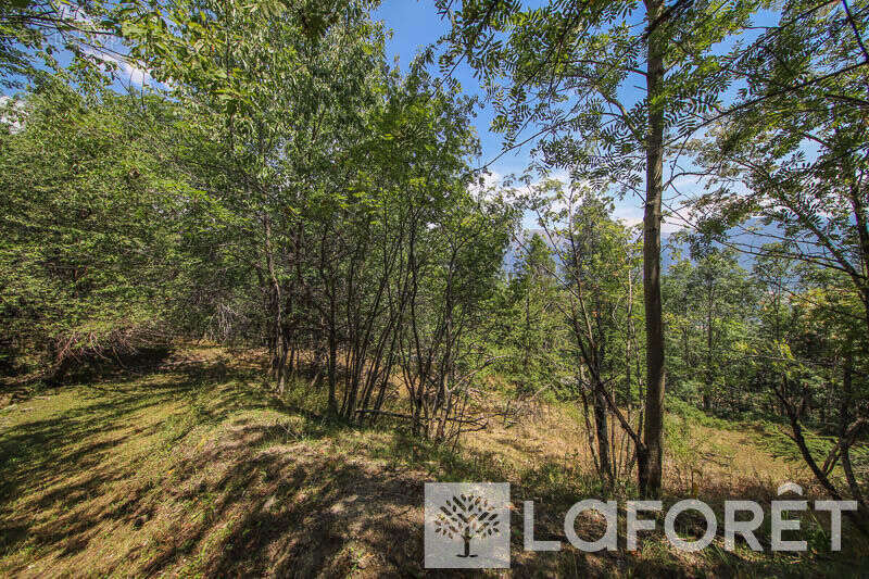 **muande + 7200 m² de terrain - embrun - photo 18