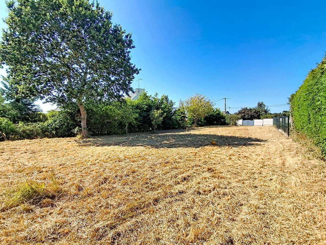 Terrain à bâtir 1 280 m²  - Hors lotissement - Libre de constructeur - Ploufragan - photo 2