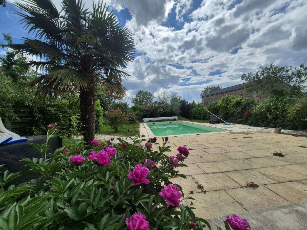 Maison 280 m² à Saint-Hilaire-Des-Loges  - photo 2