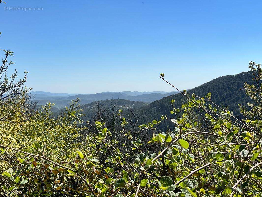 Maison à SAINT-PIERRE-SAINT-JEAN