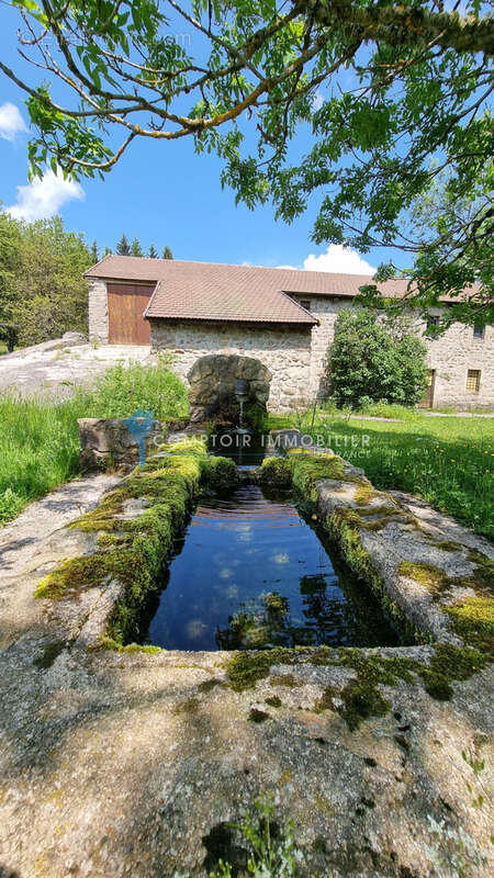 Dépt.(07) - A VENDRE Secteur Le LAC D'ISSARLES - Propriété de 56 ha avec Maison de 270 m2 et Ferme de 340 m2 - photo 19