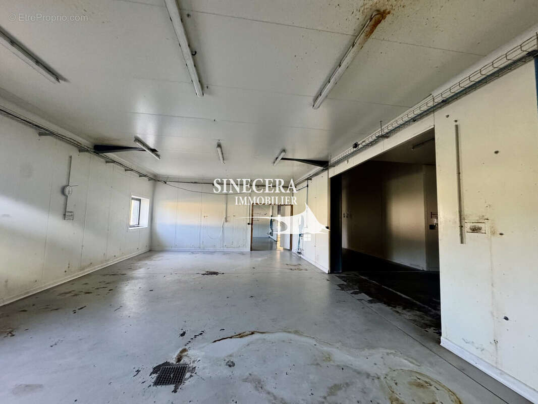 Commerce à PERIGUEUX