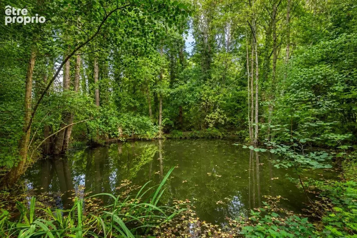 Élégante maison de maître sur un parc de 5 000 m² à Festigny - photo 11
