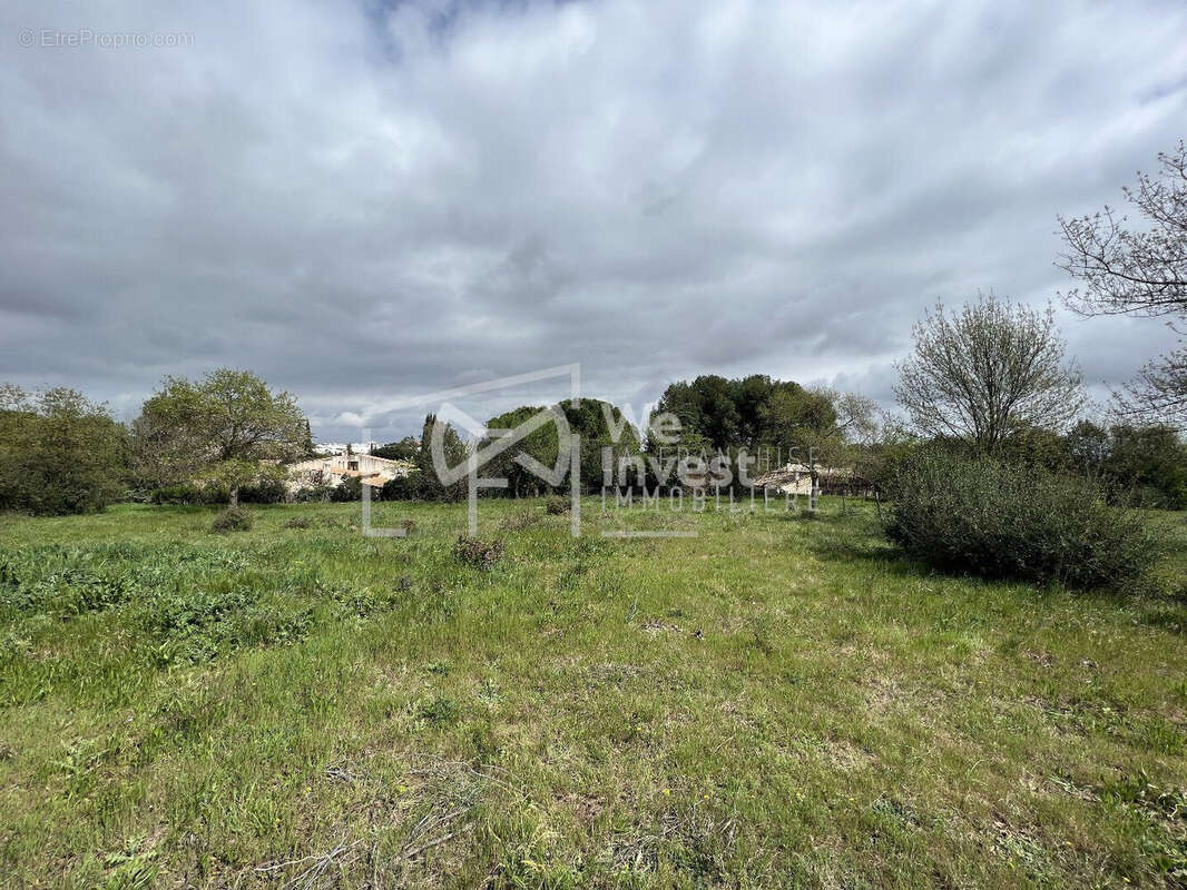 Terrain à SAINT-JEAN-DE-VEDAS