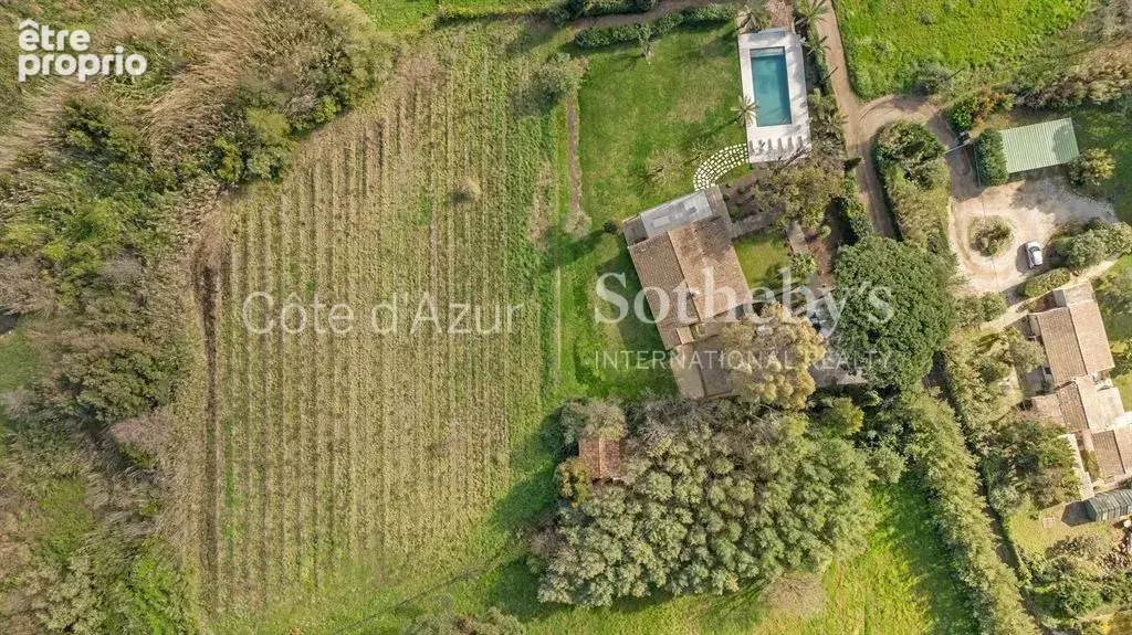Ramatuelle Pampelonne propriété 162 m² terrain 7130 m² vignes piscine plage à pied - photo 19