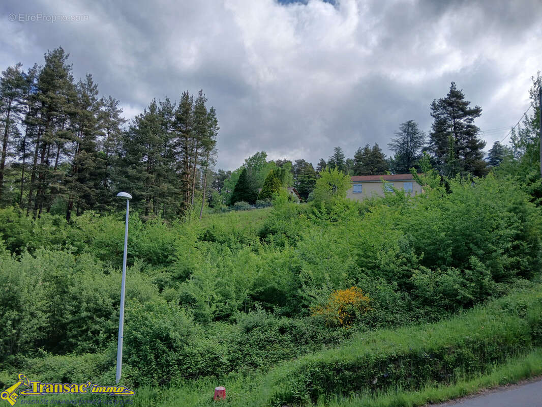Terrain à COURPIERE