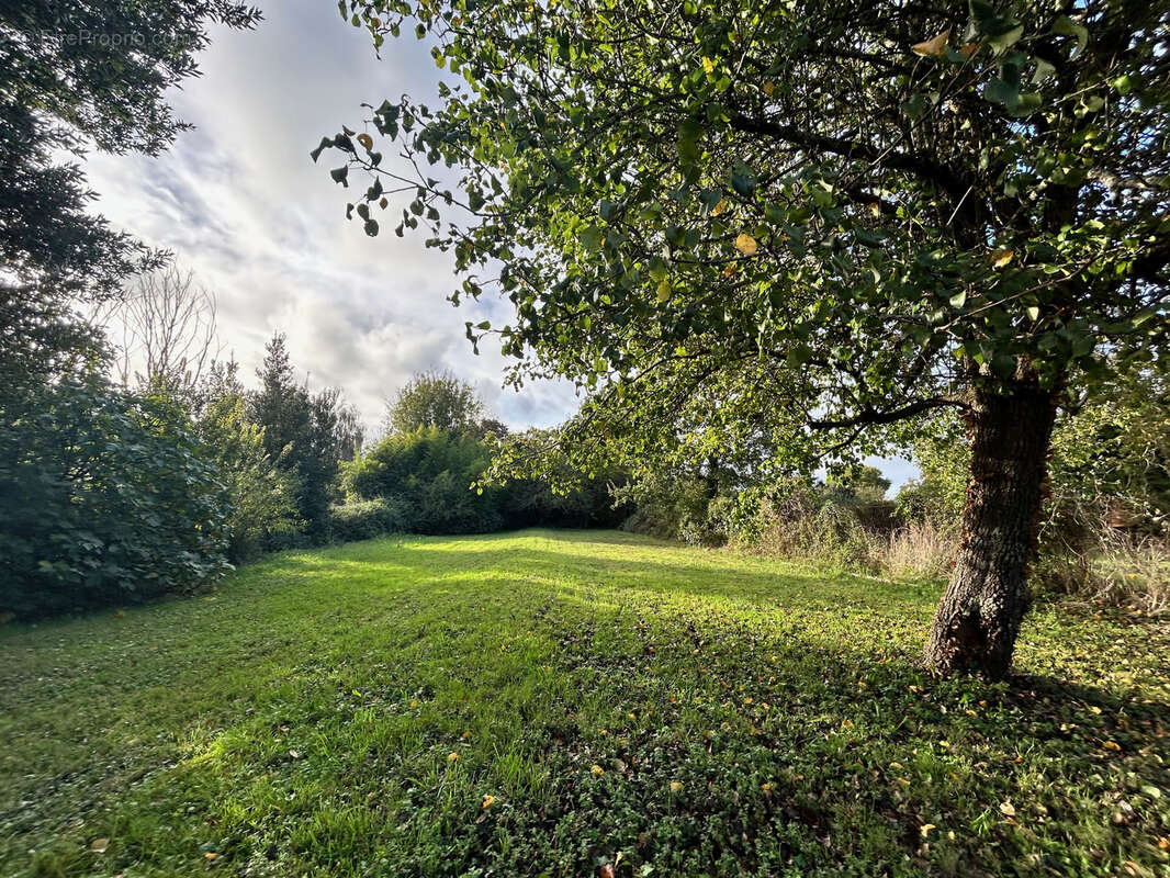 Terrain à SAINT-ANDRE-DE-LIDON