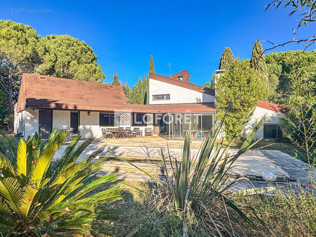 Maison à MONTPELLIER