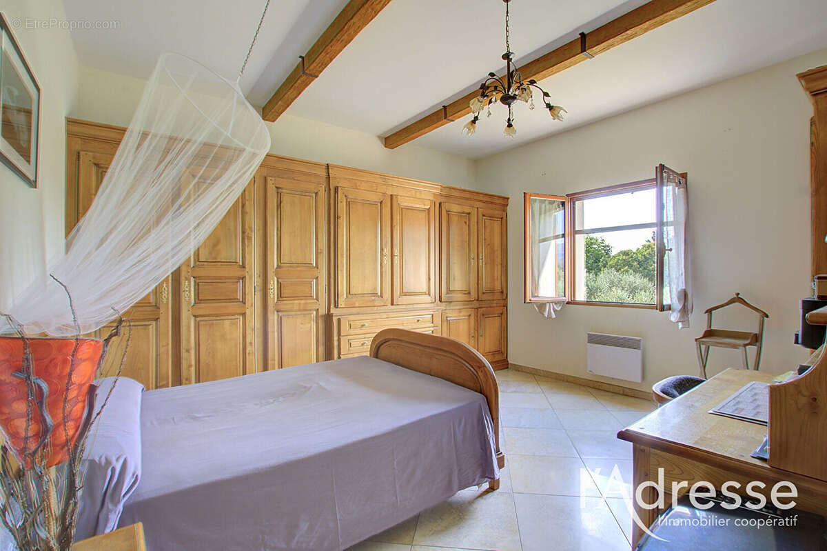 LUCCIANA  - propriété familiale de 202 m² au coeur d'une oliveraie - photo 11