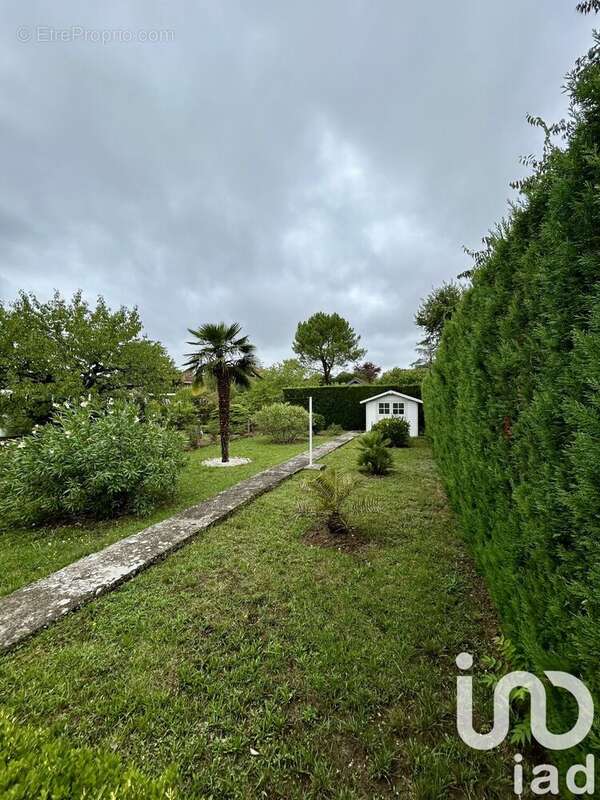 Photo 2 - Maison à ALBI