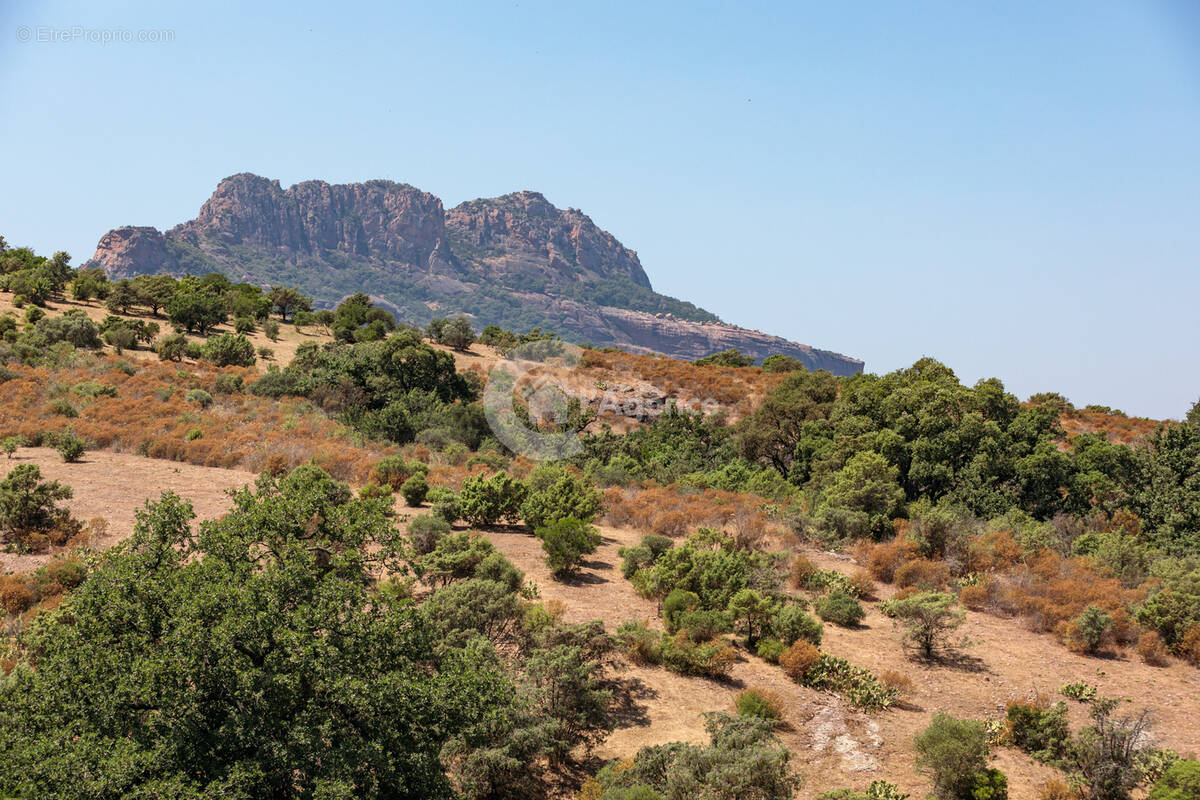 Roquebrune sur Argens - Charmante masion jumelée d'un côté rénovée et avec vue pnaoramique sur Rocher de Roque - photo 5