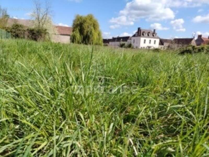 Terrain à HERY