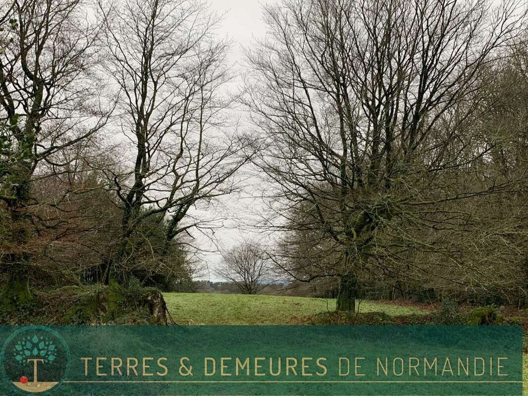 Terrain à SOURDEVAL