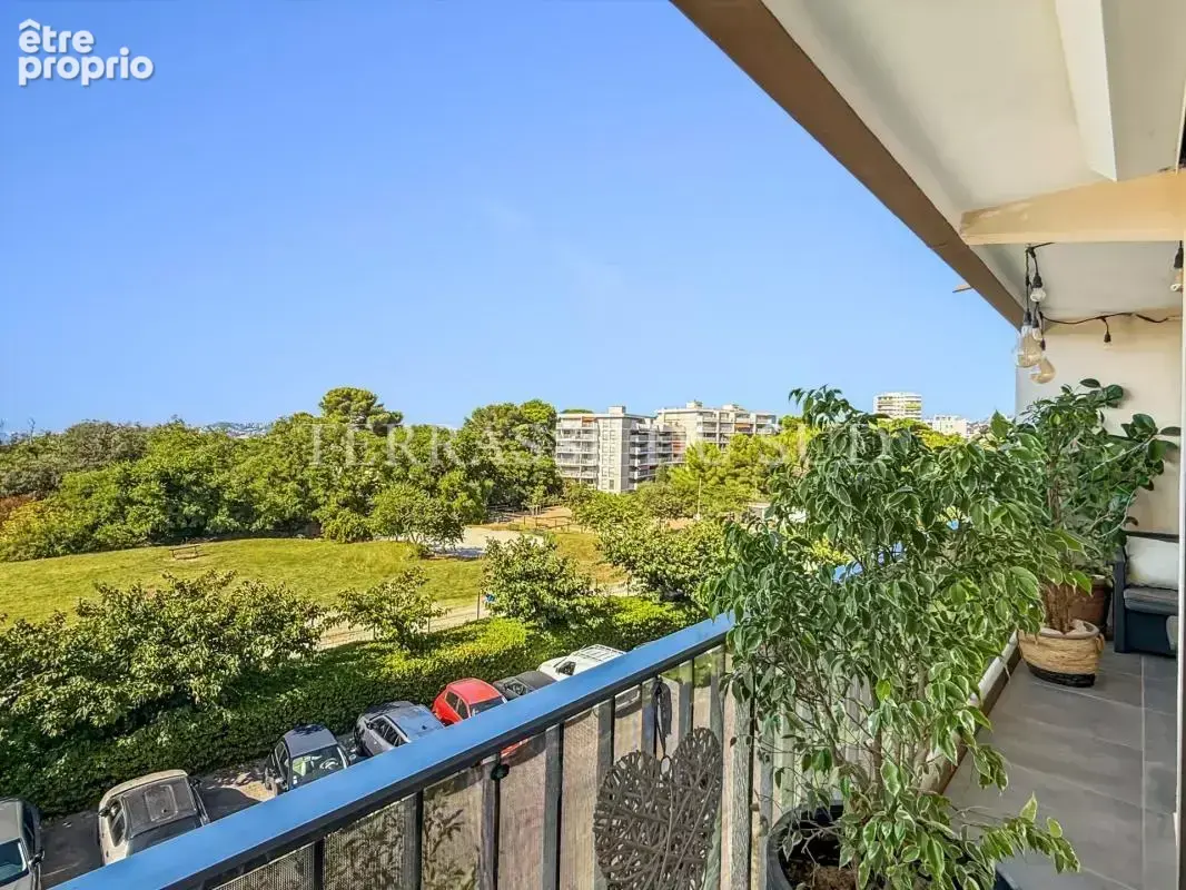 Vente Appartement 3 Pièce de 73 m2 avec Balcon/Terrasse, Loggia et Cave - Pointe-Rouge / Pastré - Marseille 8 - photo 3