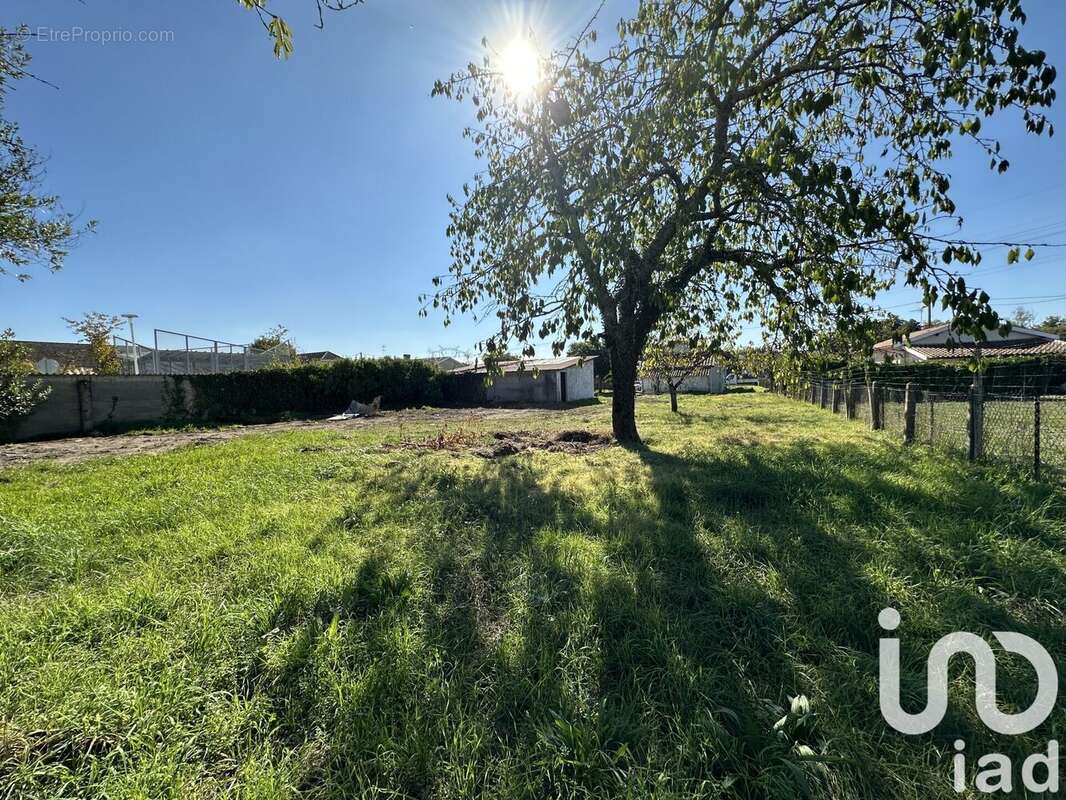 Photo 2 - Terrain à AMBARES-ET-LAGRAVE