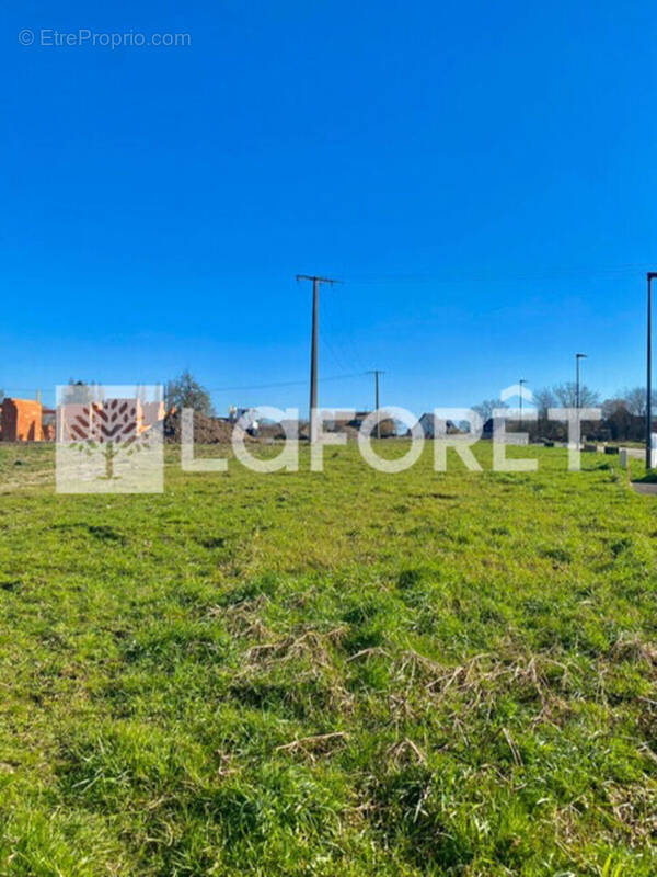 Terrain à MOUCHIN