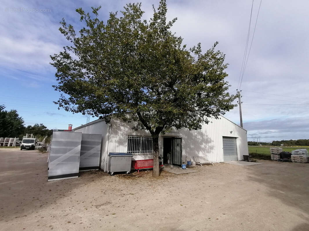 Commerce à MONTAUBAN