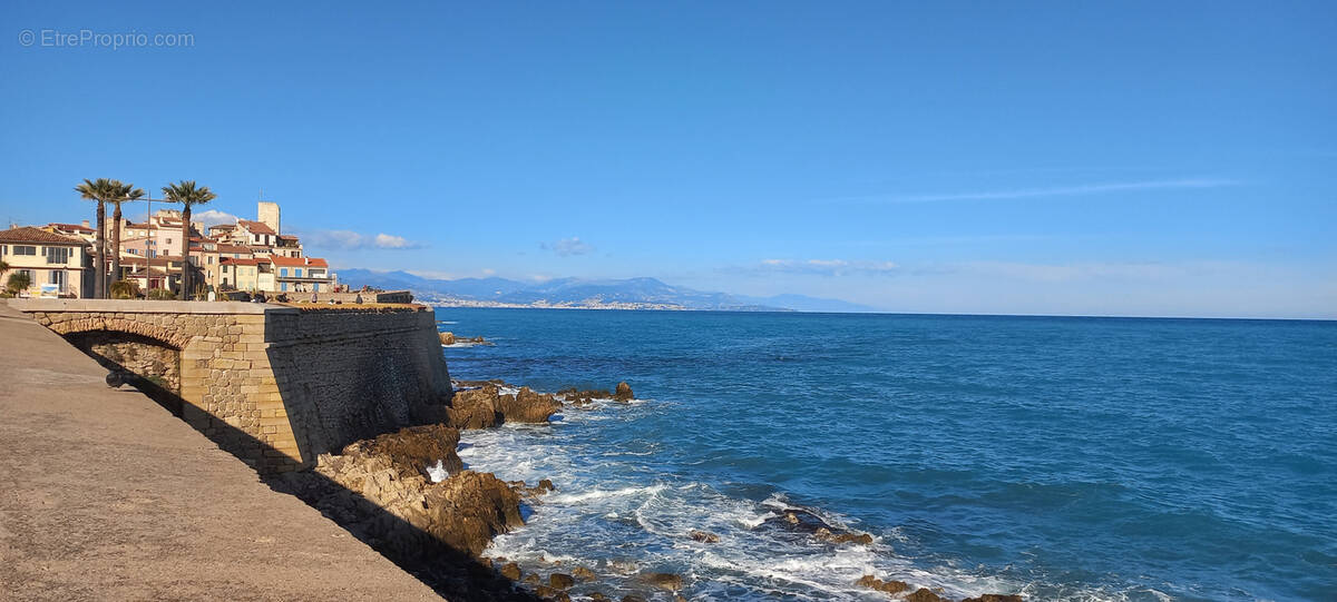 Commerce à ANTIBES