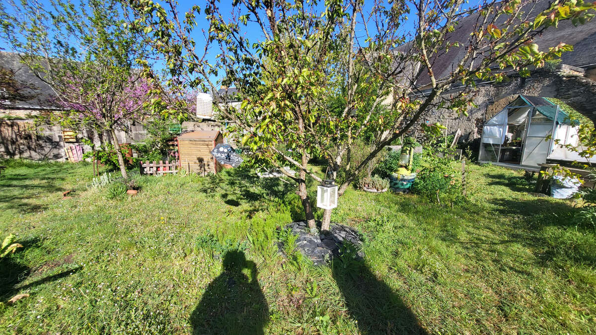 Maison à POUANCE