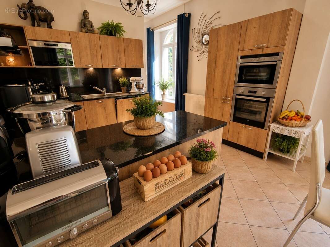 Propriete à vendre 9 pièces MIRECOURT (88) PROPRIÉTÉ D'EXCEPTION avec PISCINE sur TERRAIN clos et arboré de + de 6.500 m2 - photo 10
