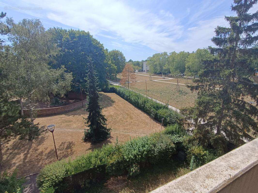 Appartement - photo 5