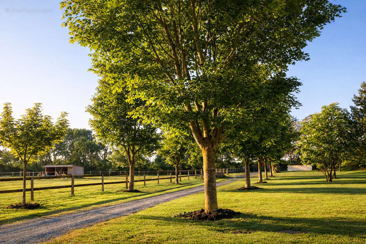 Maison à BLAINVILLE-SUR-MER