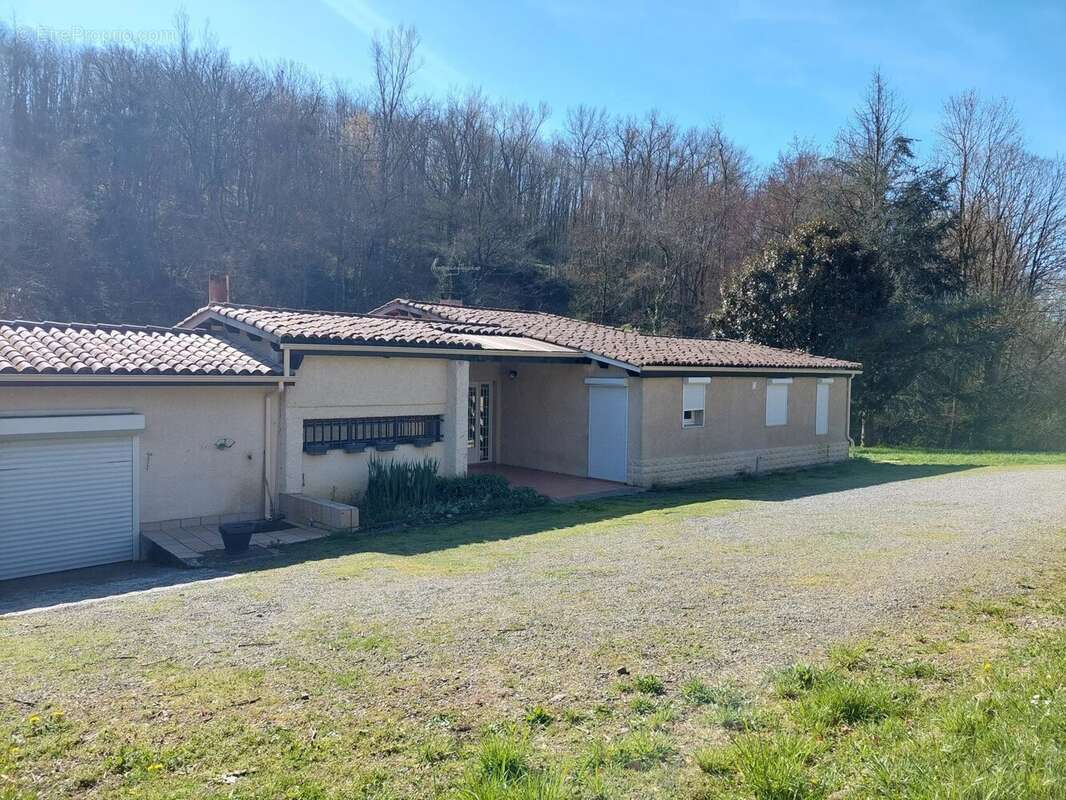 Maison à MONTESQUIEU-VOLVESTRE