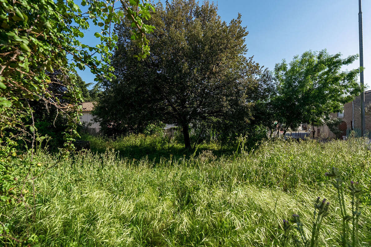 CARCASSONNE - VILLEGAILHENC  Villa T5  148m²  (113m² Hab.) avec garage et grand jardin arboré - photo 4